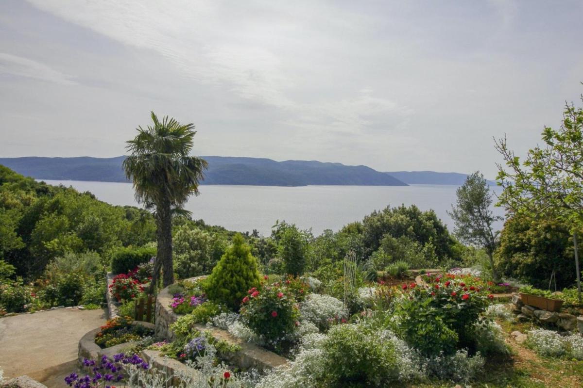 Villa Paradiso In Plomin - Istrien 외부 사진
