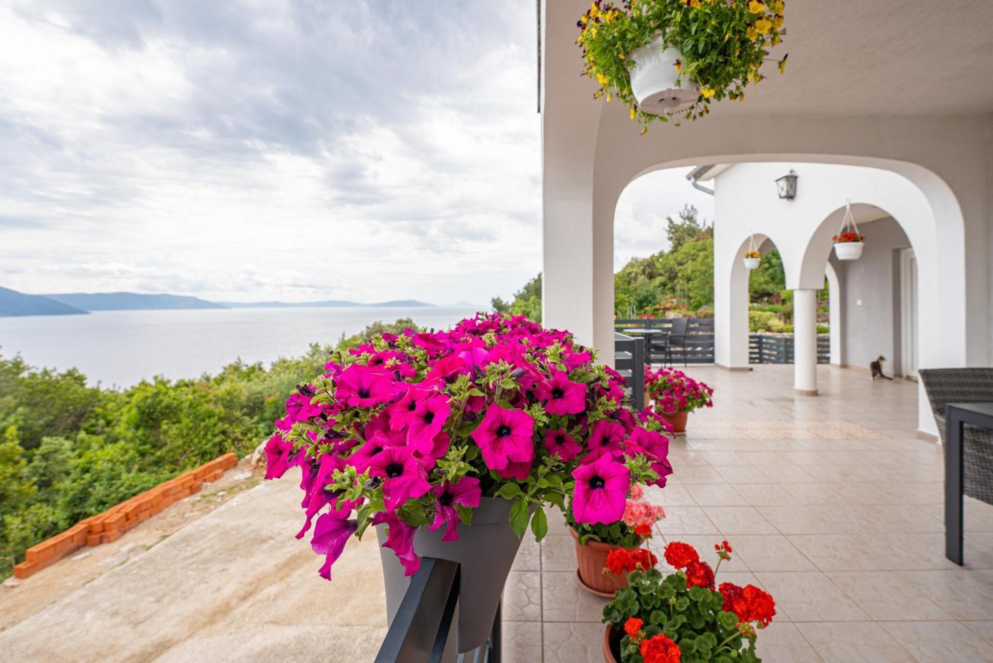 Villa Paradiso In Plomin - Istrien 외부 사진