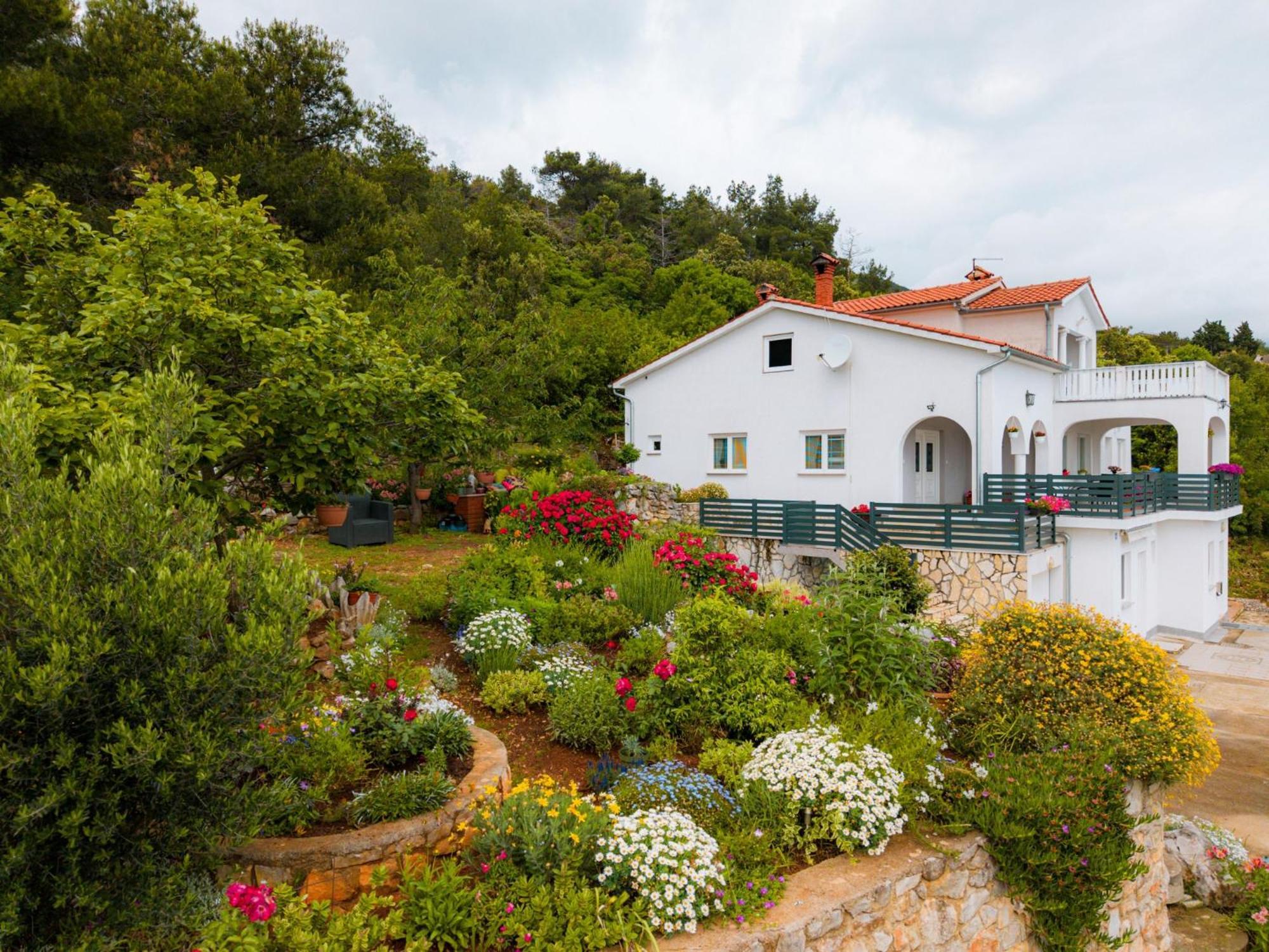 Villa Paradiso In Plomin - Istrien 외부 사진