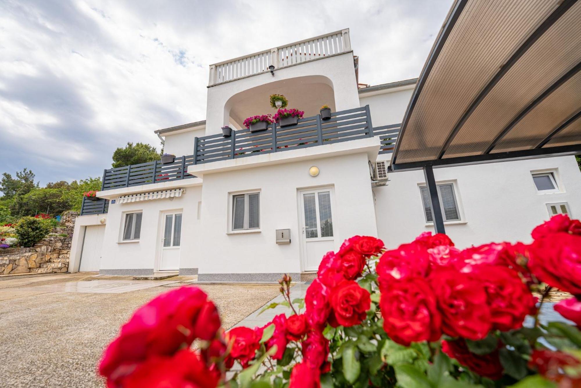 Villa Paradiso In Plomin - Istrien 외부 사진